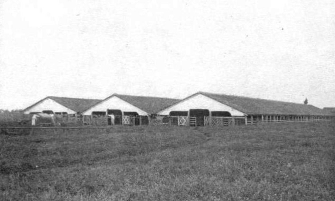Foto histórica de Vaquería Tres Monjitas en 1897