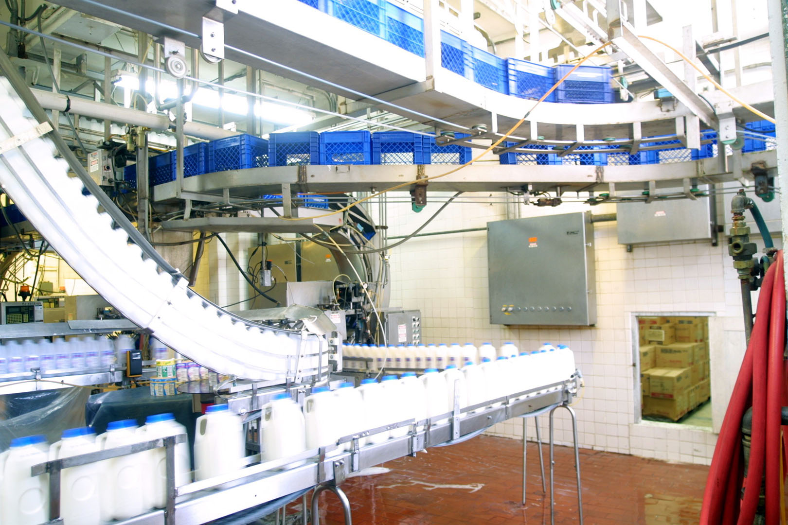 Vaquería Tres Monjitas - Llenado de botellas de leche de plástico. Tres Monjitas anuncia una inversión millonaria para el fortalecimiento de la industria lechera en Puerto Rico.