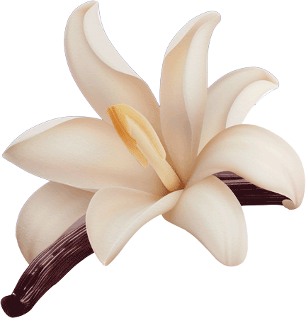 Flor de vainilla